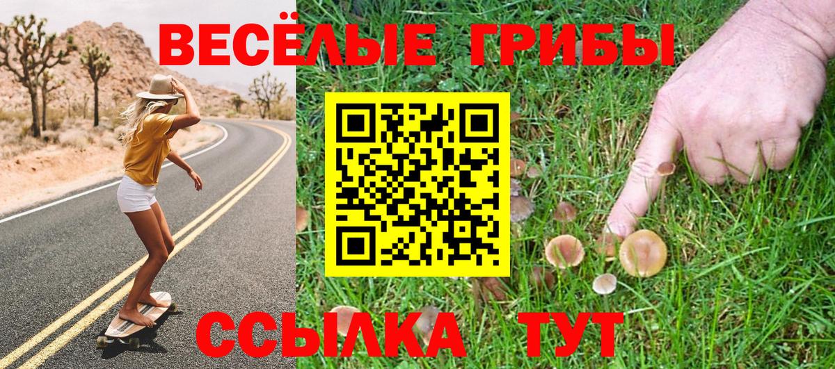 Галлюциногенные грибы Psilocybine cubensis  Вход с VPN  Новый Уренгой 